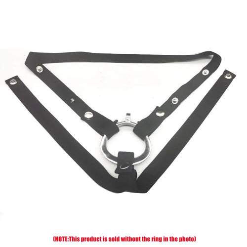 Male Chastity Device with Lock and Ring